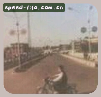 刘雅